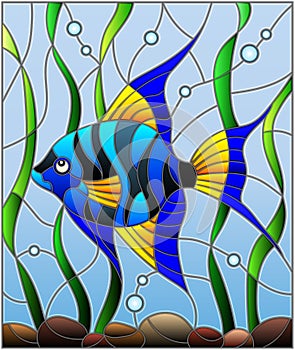 Stained glass illustration blue fish scalar on the background of water and algae photo