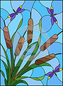 Stained glass illustration with bouquet of bulrush and dragonflies on a sky background