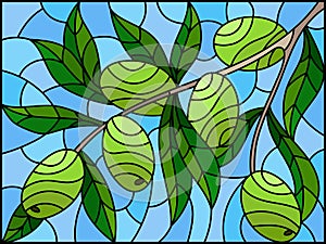 Stained glass illustration with the branches of olive  tree , the  branches, leaves and berries against the sky