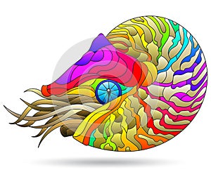 Stained glass illustration with  a bright rainbow nautilus clam, an animal, isolated on a white background