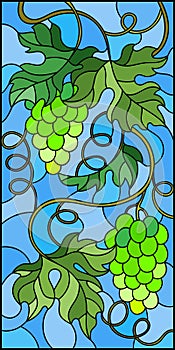 Stained glass illustration with a bunch of green grapes and leaves on blue background,vertical image photo