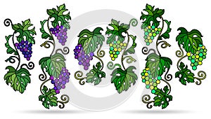 Stained glass illustration with grape vines isolated on a white background
