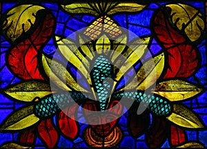 Stained Glass in Leon
