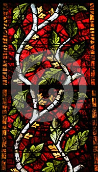 Stained Glass in Leon