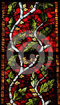 Stained Glass in Leon photo
