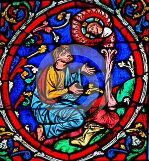 Stained Glass in Notre Dame, Paris - Tree of Jesse