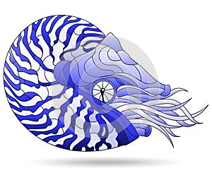 Stained glass-style illustration with a blue nautilus clam, an animal, isolated on a white background