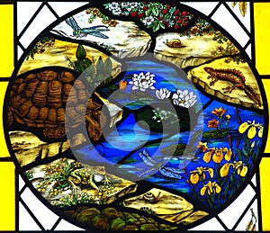 Stained glass window with animals and plants.