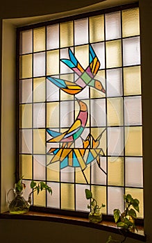 A stained glass window with bird design