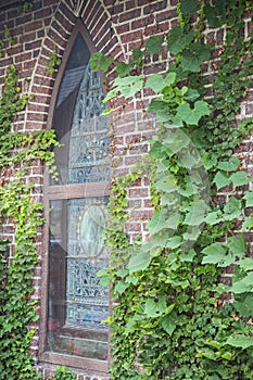 Stained glass window brick climbing vines