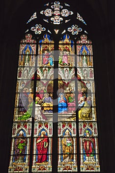 Stained Glass Window Cathedral of Cologne