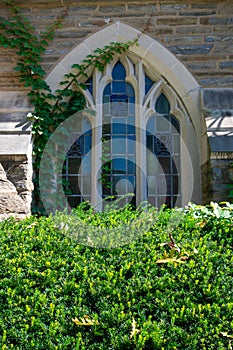 A Stained Glass Window On a Cobblestone Church With Ivy Climbing Up Its Side