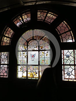 Stained glass window with plant drawings and frequent glazing