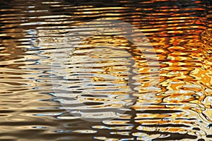 Stained glass window reflected in swimming pool at La Piscine Museum of Art and Industry, Roubaix France