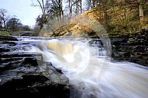 Stainforth Force