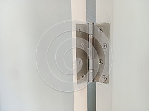 Stainless hinges on white wooden doors