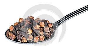 Close-up of aromatic cloves on a metal spoon. Syzygium aromaticum photo