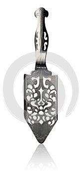 Stainless Steel Absinthe Spoon isolated