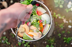 Stainless Steel Compost Bin with Various Food Scraps