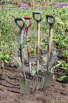 Stainless steel garden fork and spade