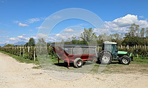 Stainless steel grape harvest trailer trailed by tractor in front of a rows of vineyard