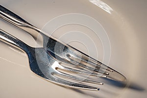 Stainless steel knife and fork