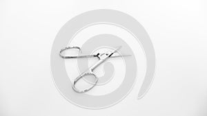 Stainless steel manicure nail scissors