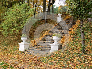 Stair in park