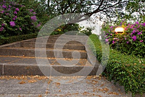 Stair in Park Landscaped