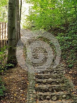 Stair in the park