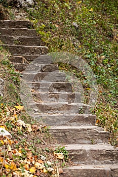 Stair way in forest