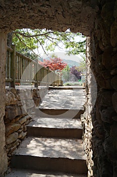 Staircase in a beautiful garden