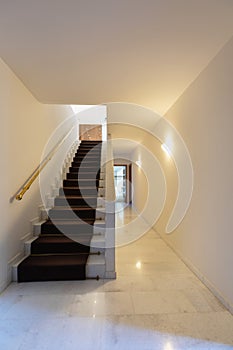 Staircase with carpet, gold handrail and marble corridor