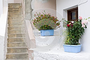 Staircase decorated with flowers