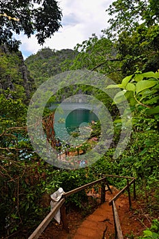 Staircase Down through bushes to the Hill leading