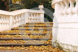 Staircase with fallen leaves autumn season