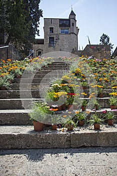 Staircase in Gothic quarter Girona decorated flowers Tiempo de flors festival photo