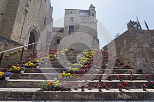 Staircase in Gothic quarter Girona decorated flowers Tiempo de flors festival photo