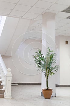 Staircase inside building, interior staircase, Home stair symbol, Modern stairs, Communicating element house