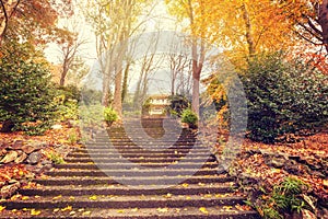 Staircase leading to a mansion with golden trees