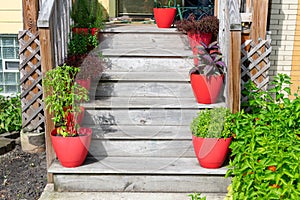 Staircase lined with Potted Plants at an Entrance to a Home