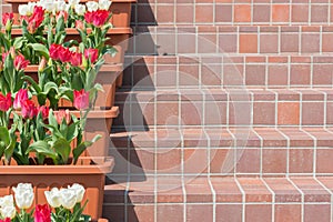 Staircase Lined With red and white tulips Flowers.