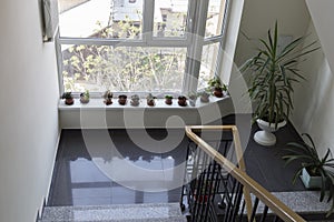 Staircase of a modern house with the metal handrail photo