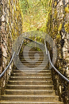 Staircase in moss