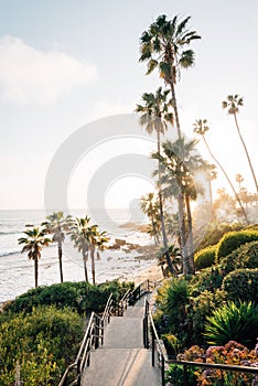Staircase and palm trees at Heisler Park, in Laguna Beach, Orange County, California