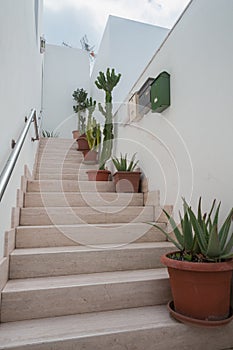 Staircase with succulant plants in pots