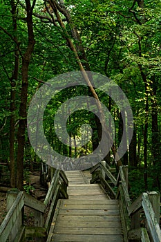 Staircase to the trails.