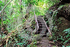 Staircase to the waterfall in deep forest