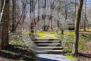 A staircase up a hill in the garden surrounded by lush green moss, benches, bare winter trees and green grass with blue sky