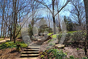 A staircase up a hillside surrounded by lush green grass, bare winter trees, lush green trees and plants with blue sky